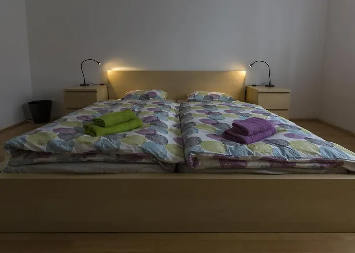 Flataid Elisabethinergasse